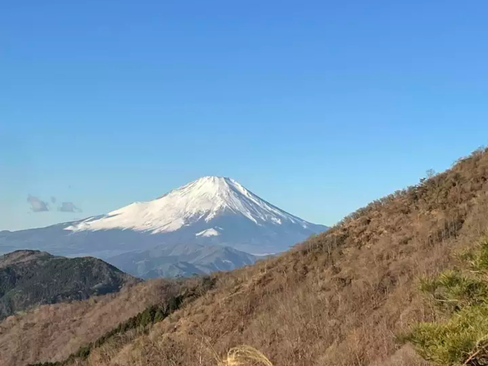 登山道からの景色 富士山