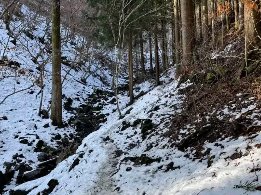 積雪の少ない登山道