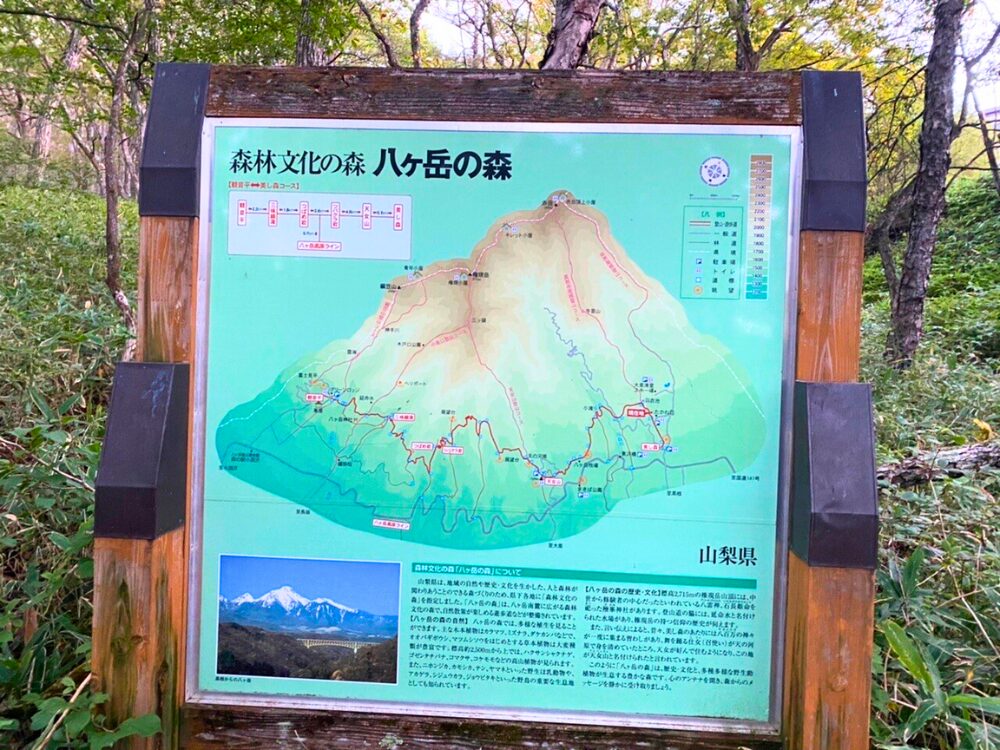 八ヶ岳の森の説明看板