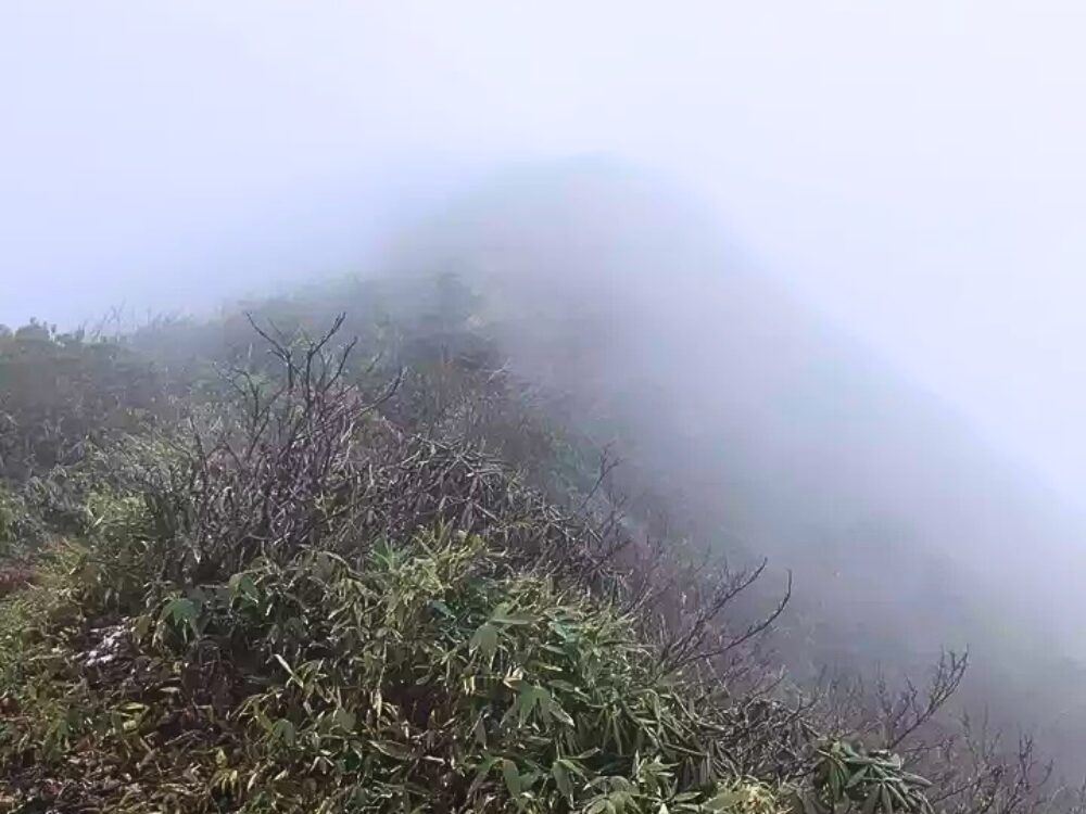 霧の中の武尊山山頂