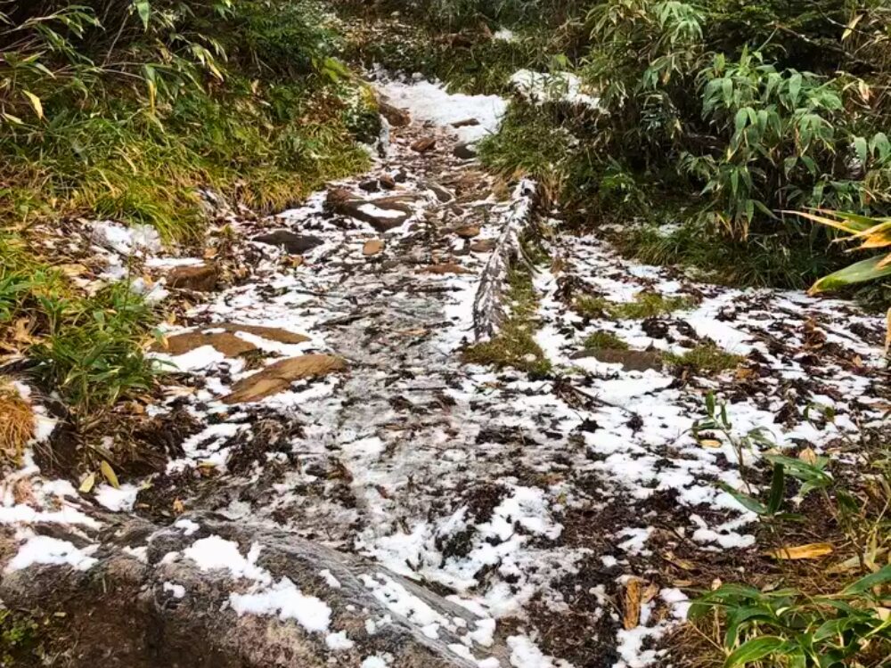 雪の登山道