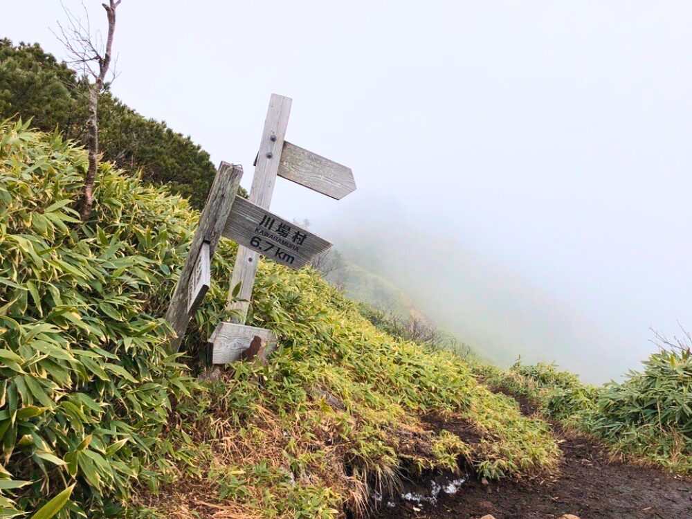 武尊山山頂　分岐