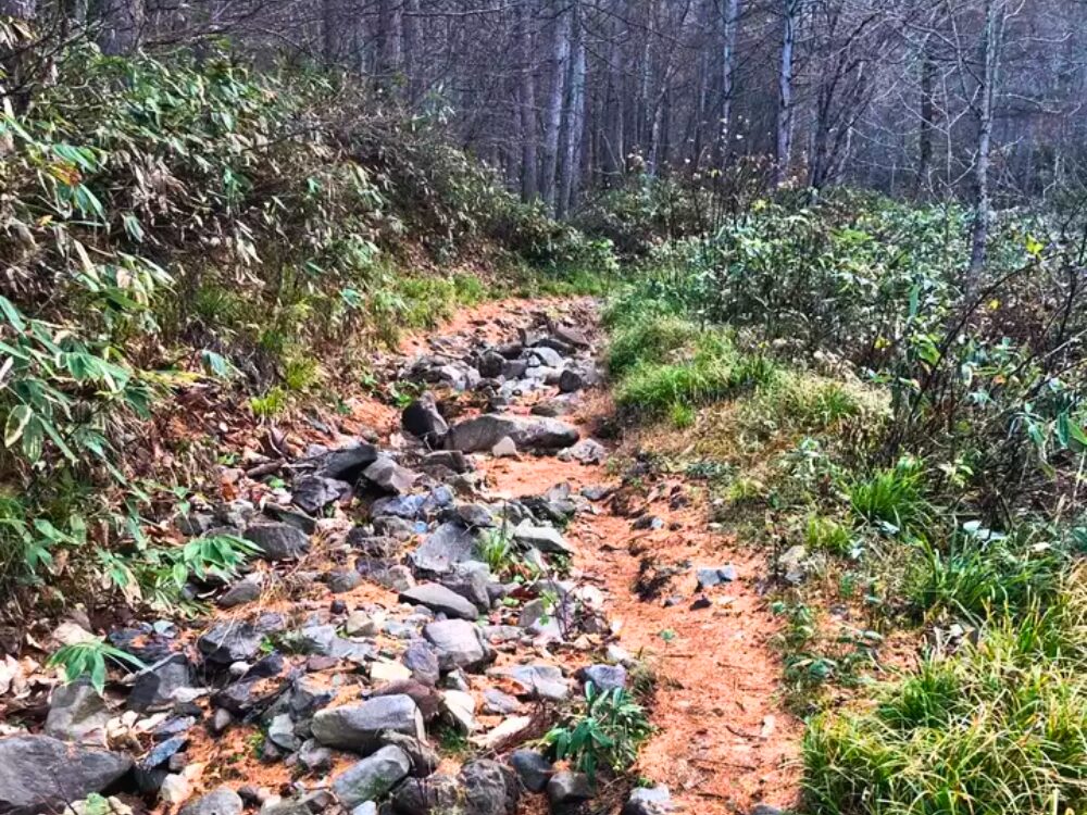 駐車場すぐの登山道