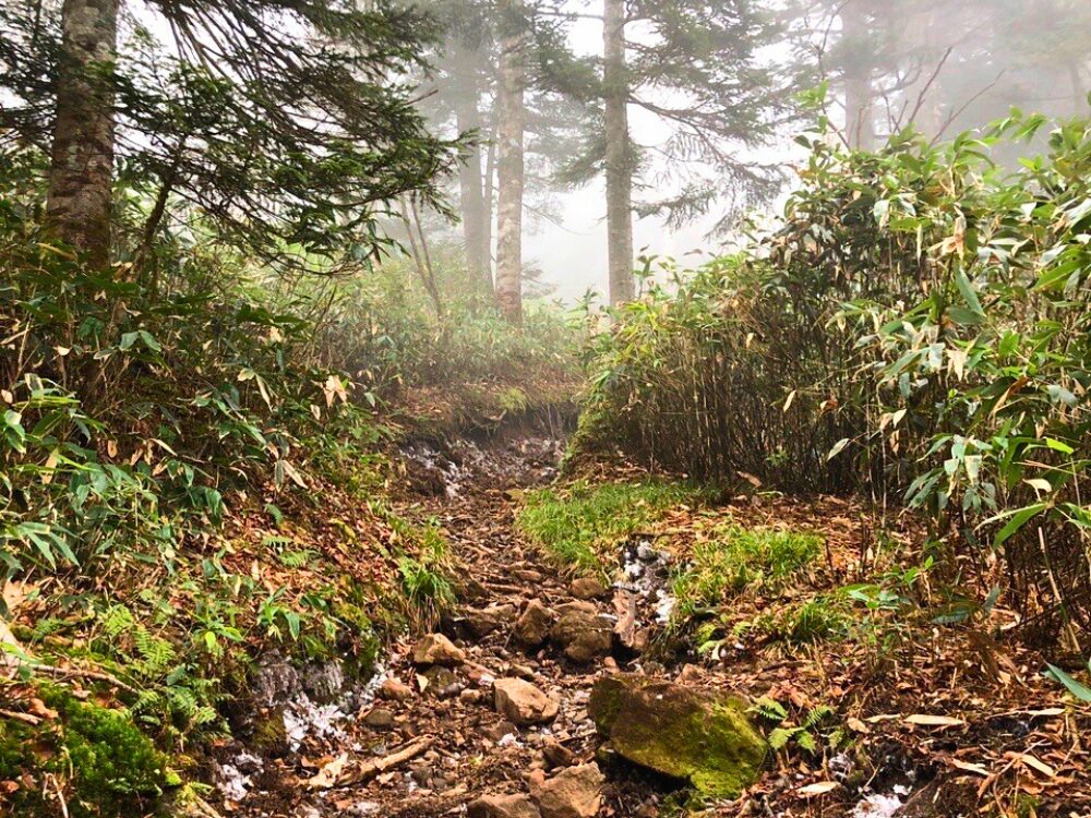 霧の中の登山道