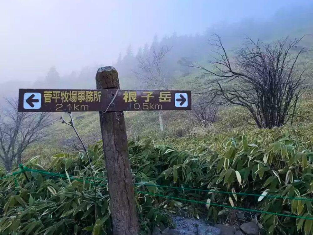 根子岳分岐点