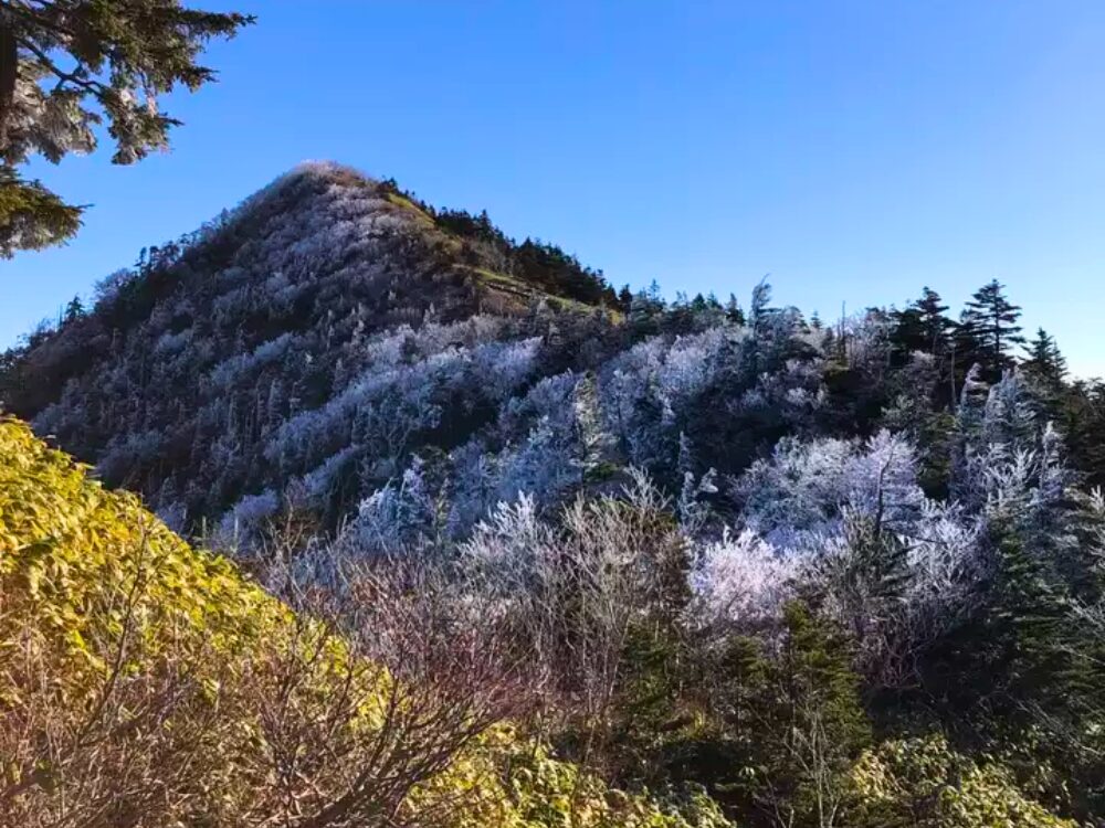 樹氷と四阿山