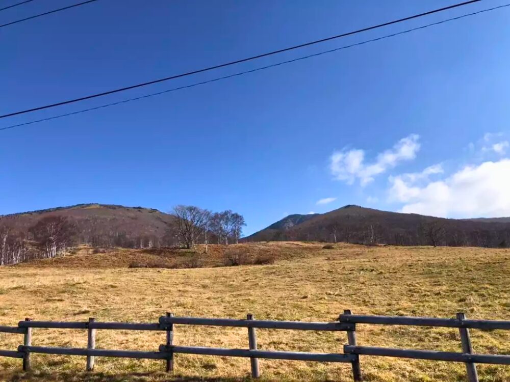 菅平牧場からの四阿山と根子岳