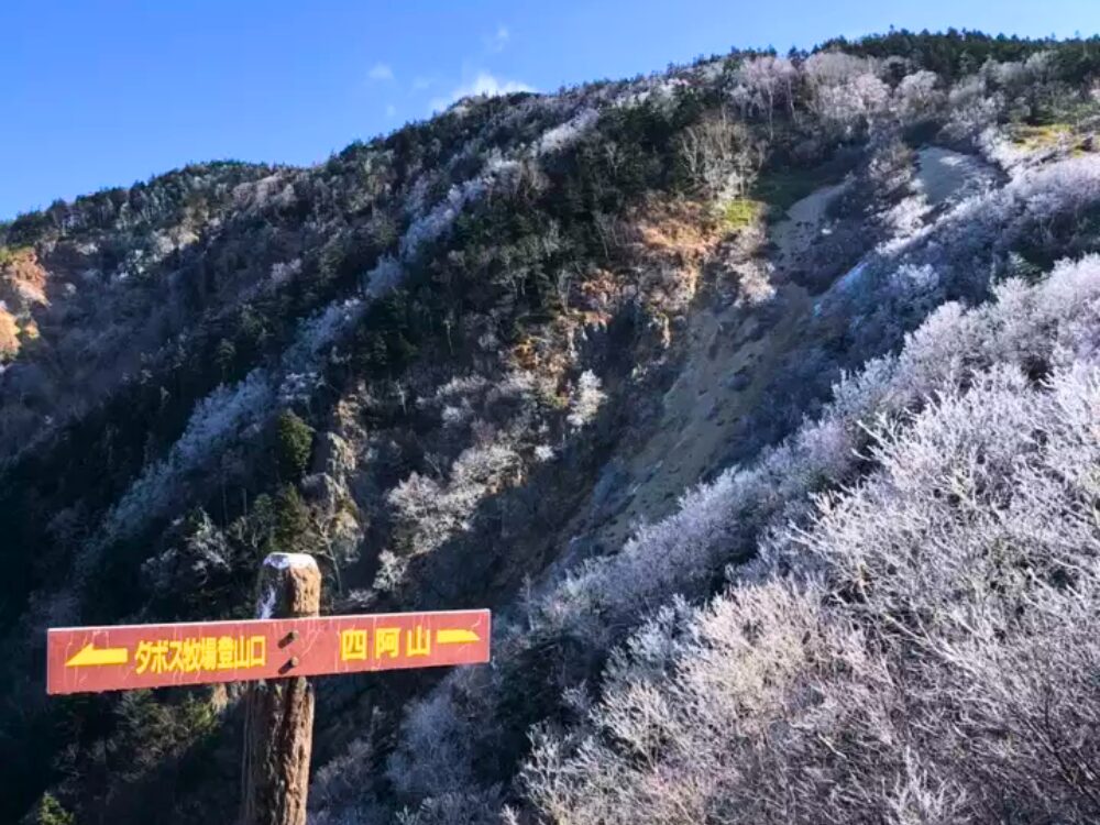 真っ白な四阿山