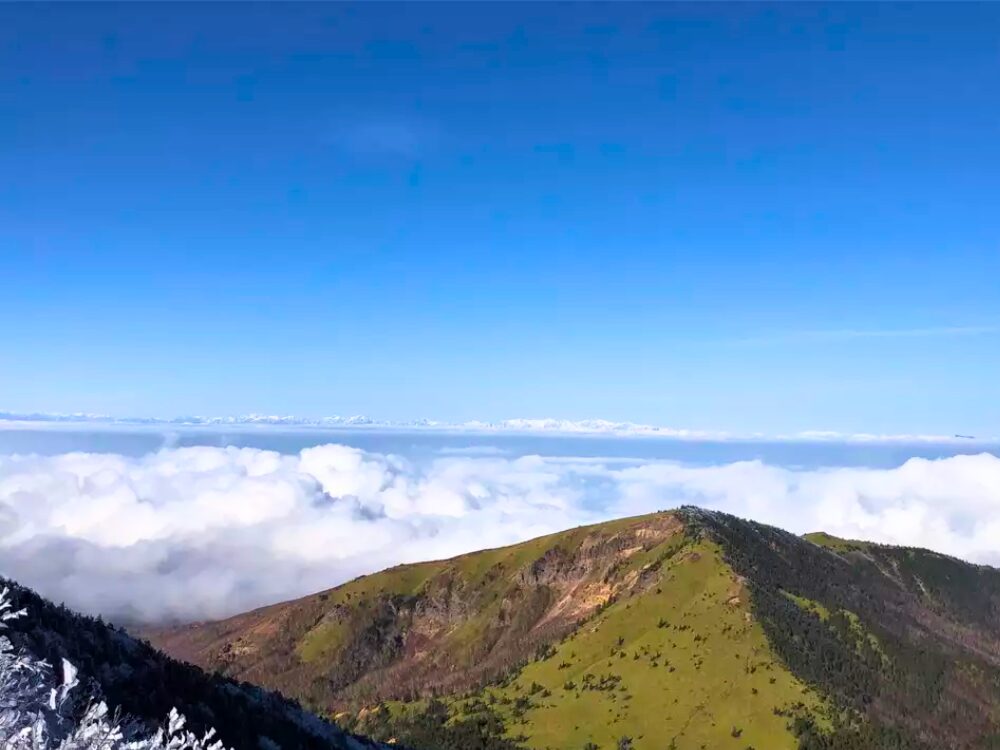 山頂から景色