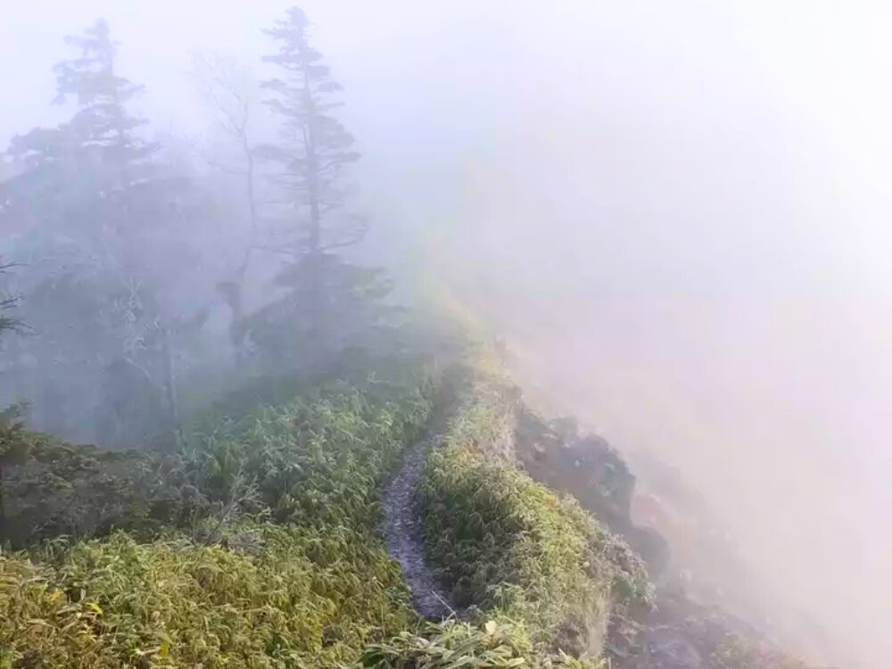 雲の中の登山道