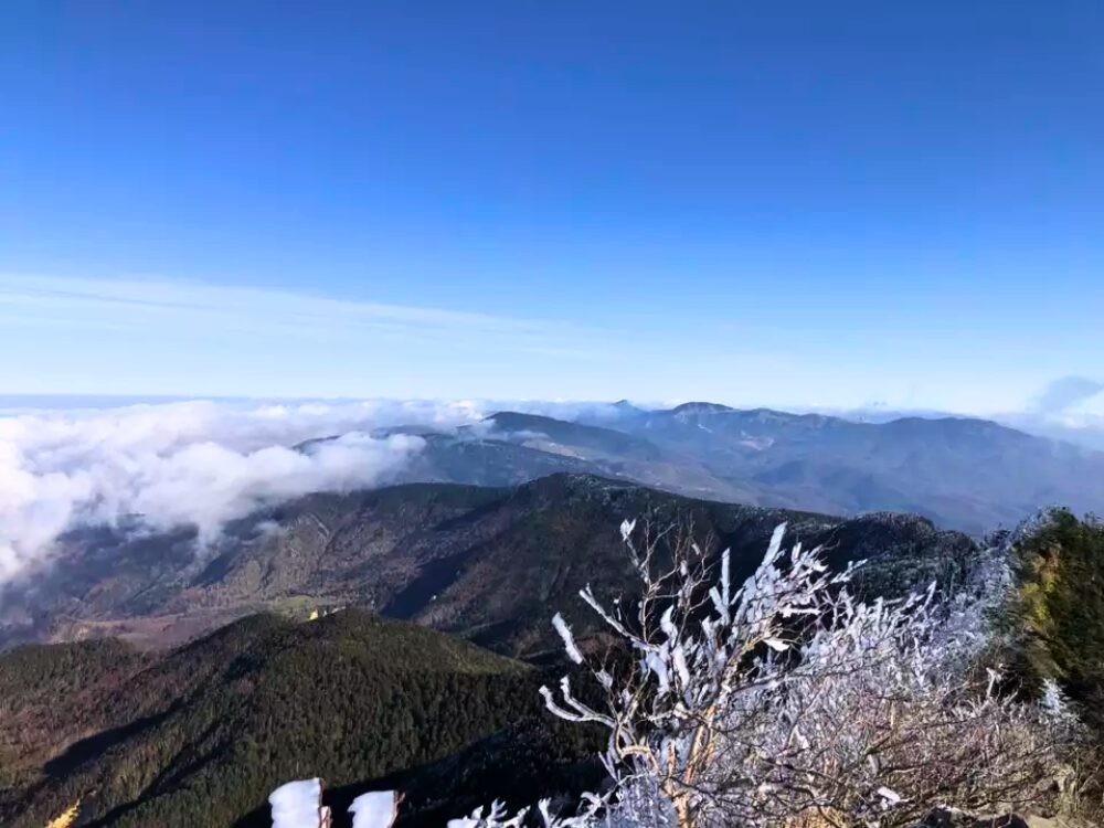 山頂から景色