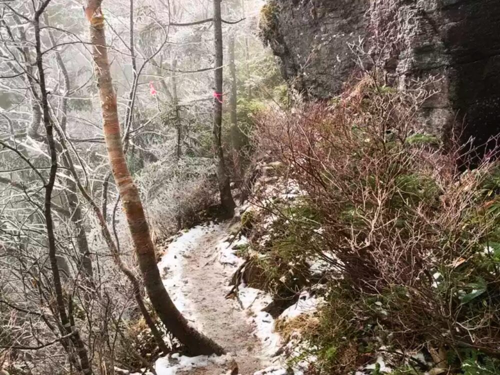 雪の登山道