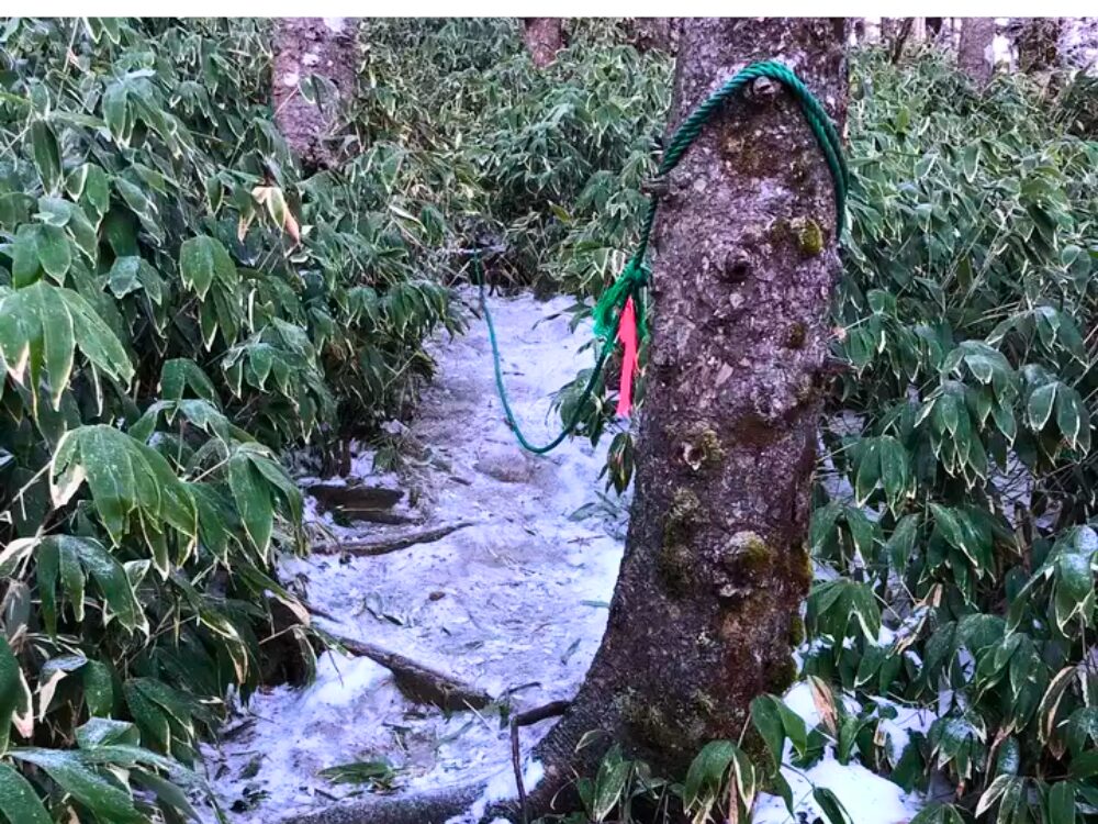 雪の登山道