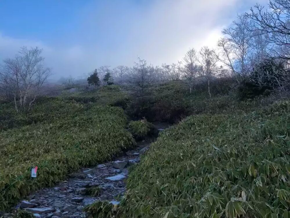 登山道