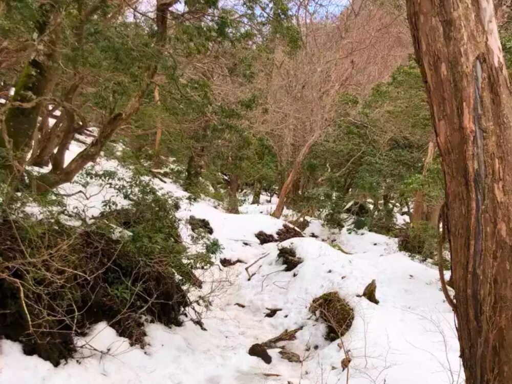 雪の登山道