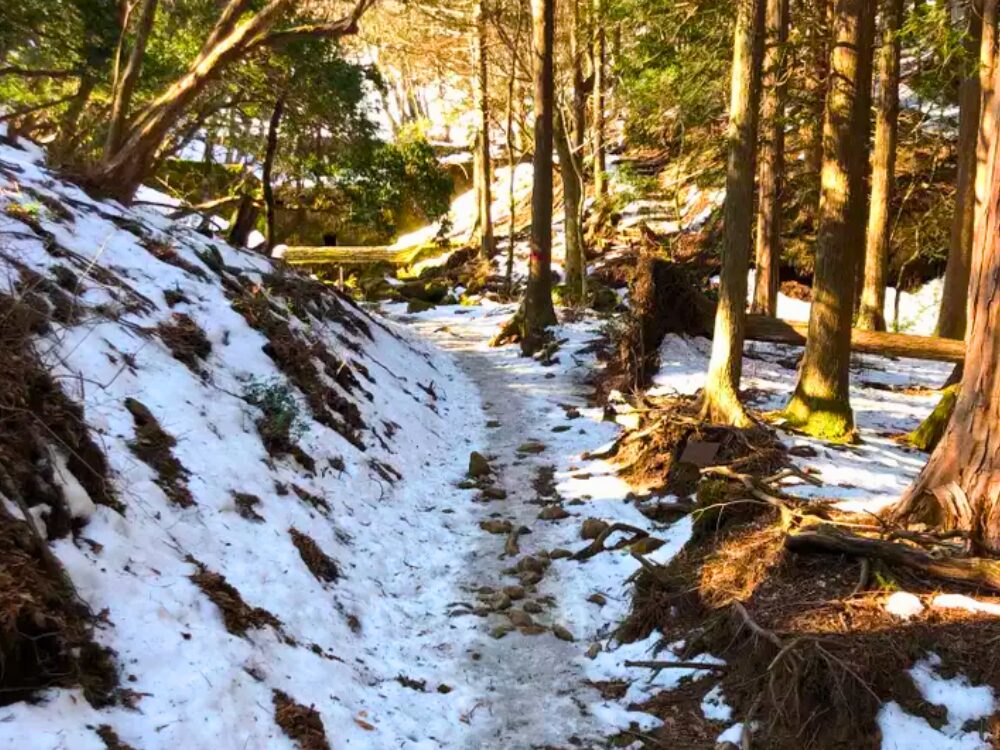 雪の登山道