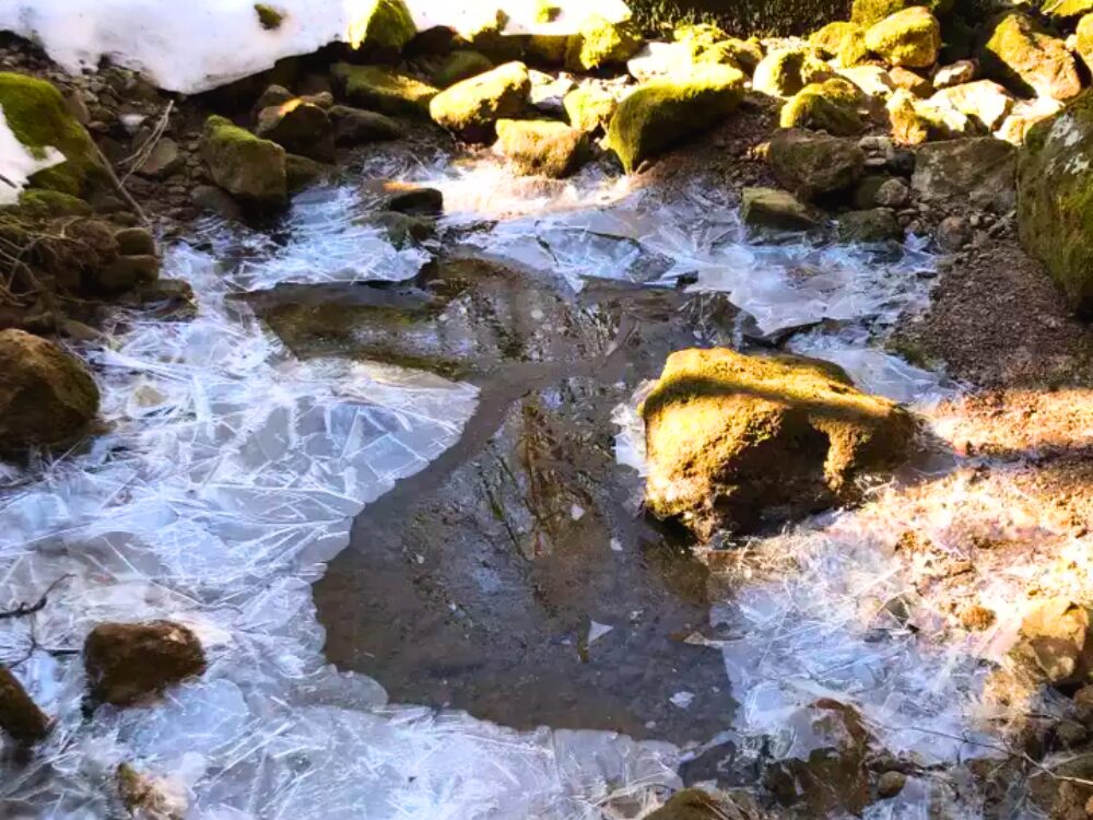 氷のはった登山道