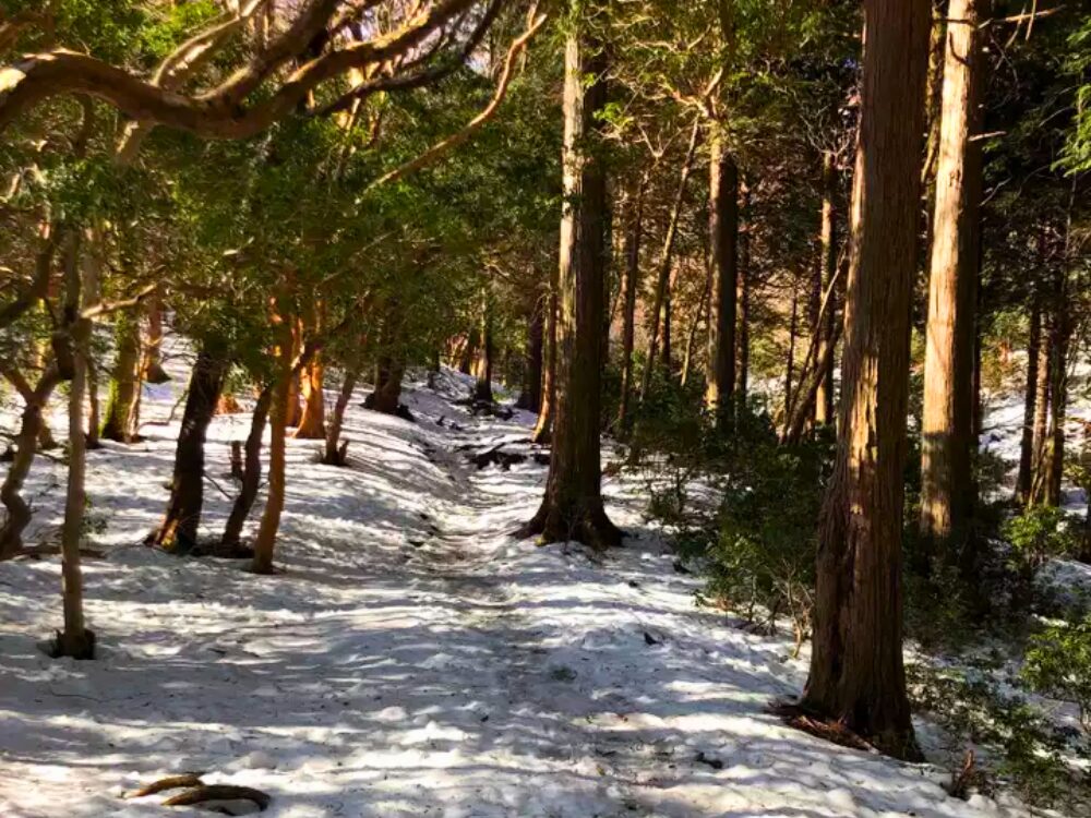 雪の登山道