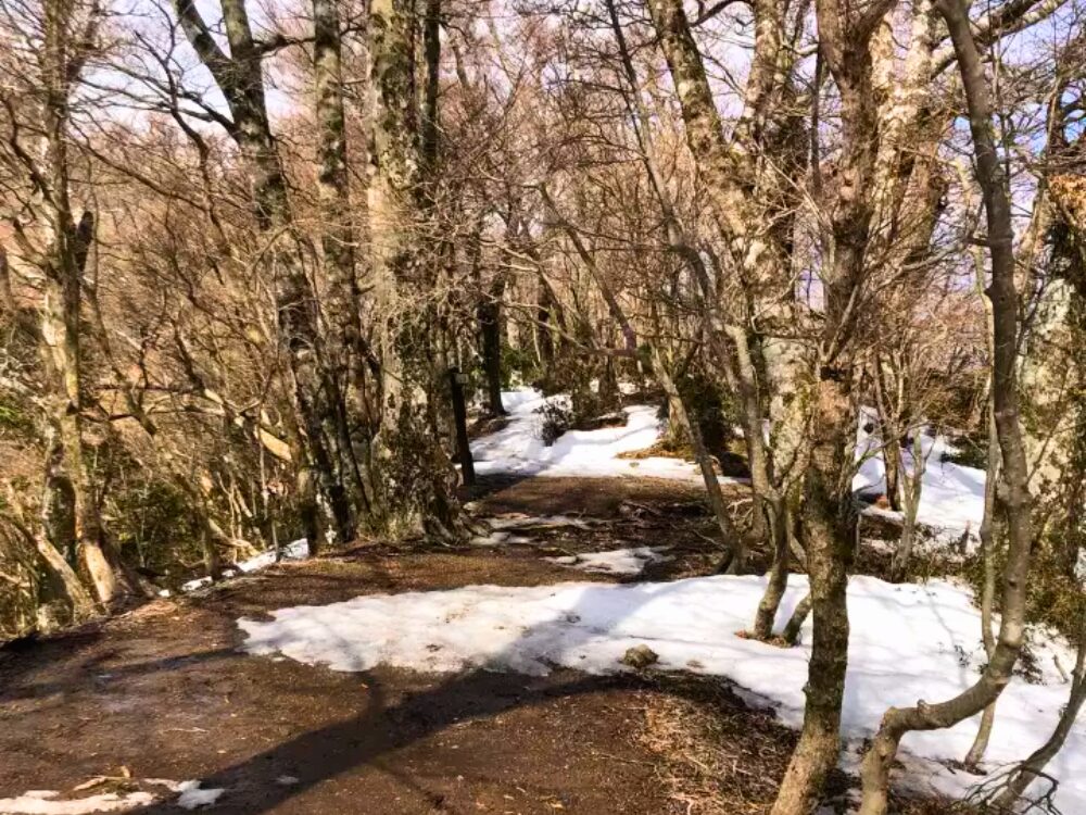 ぬかるんだ登山道