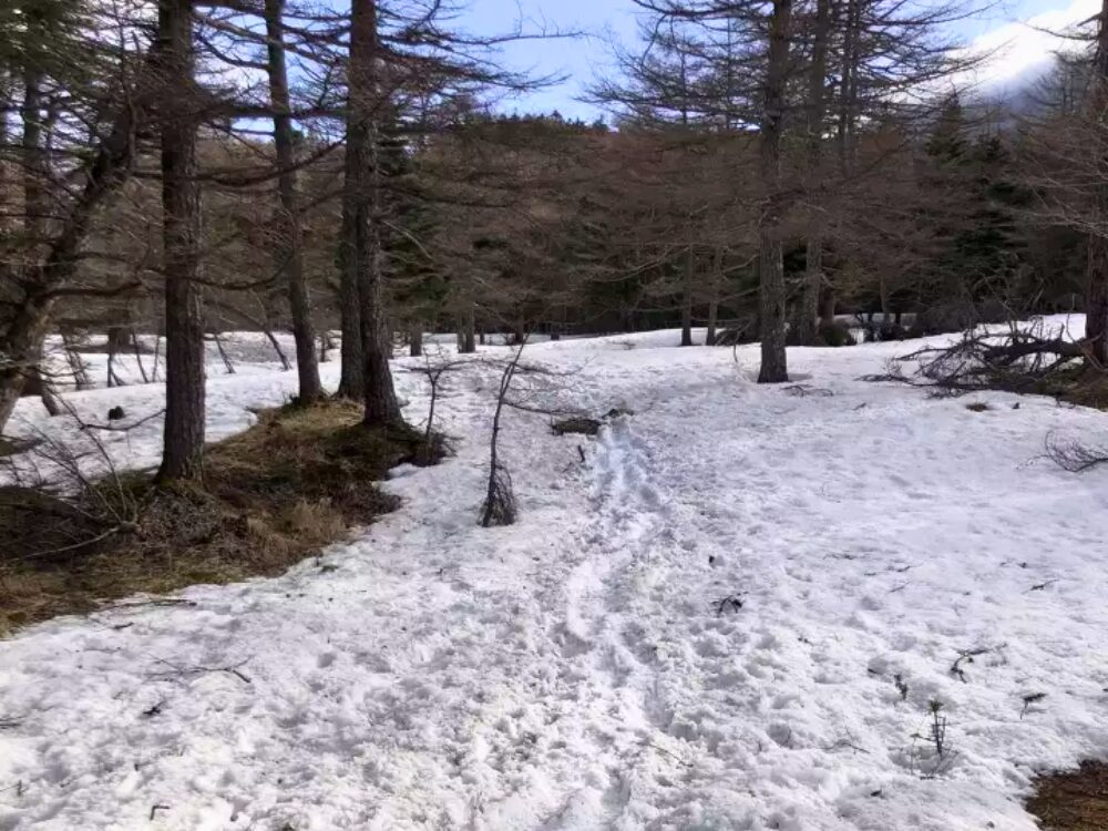 雪の登山道