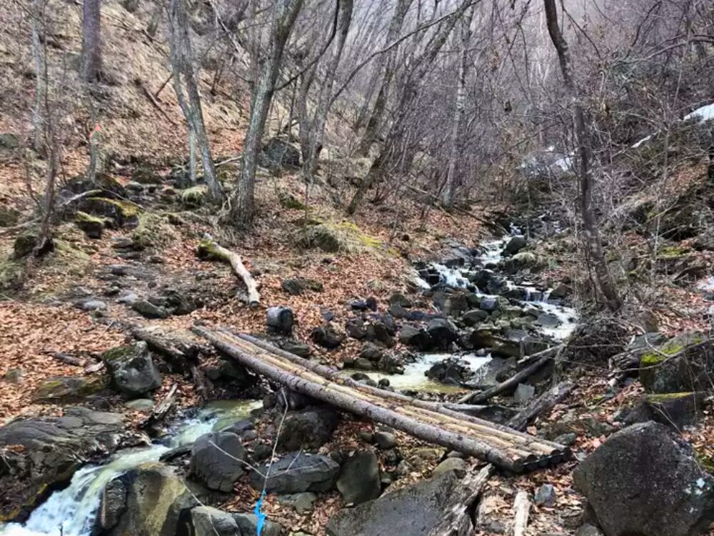 木の橋