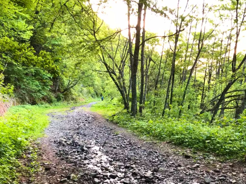 登山