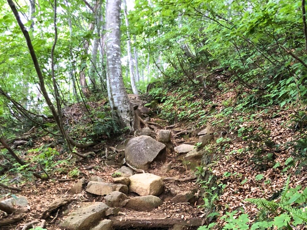 登山道