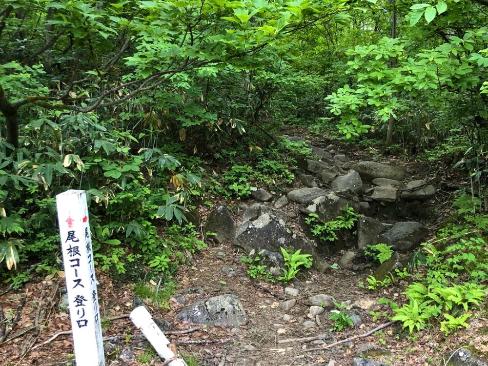 井戸尾根　登山口