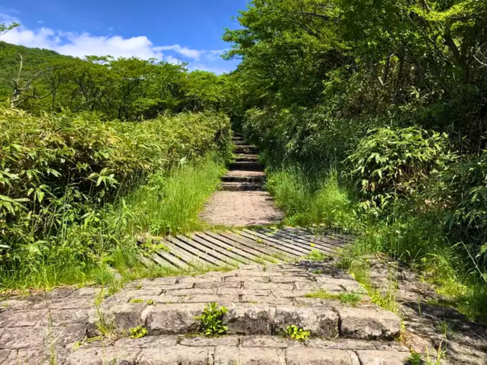 登山道