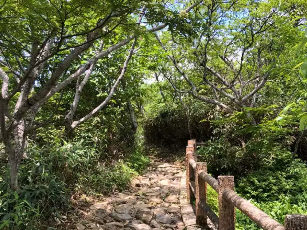 木陰の登山道