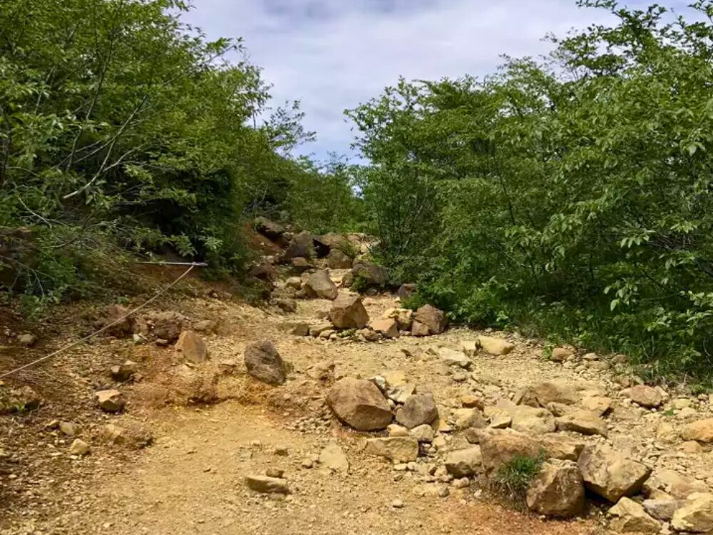 登山道