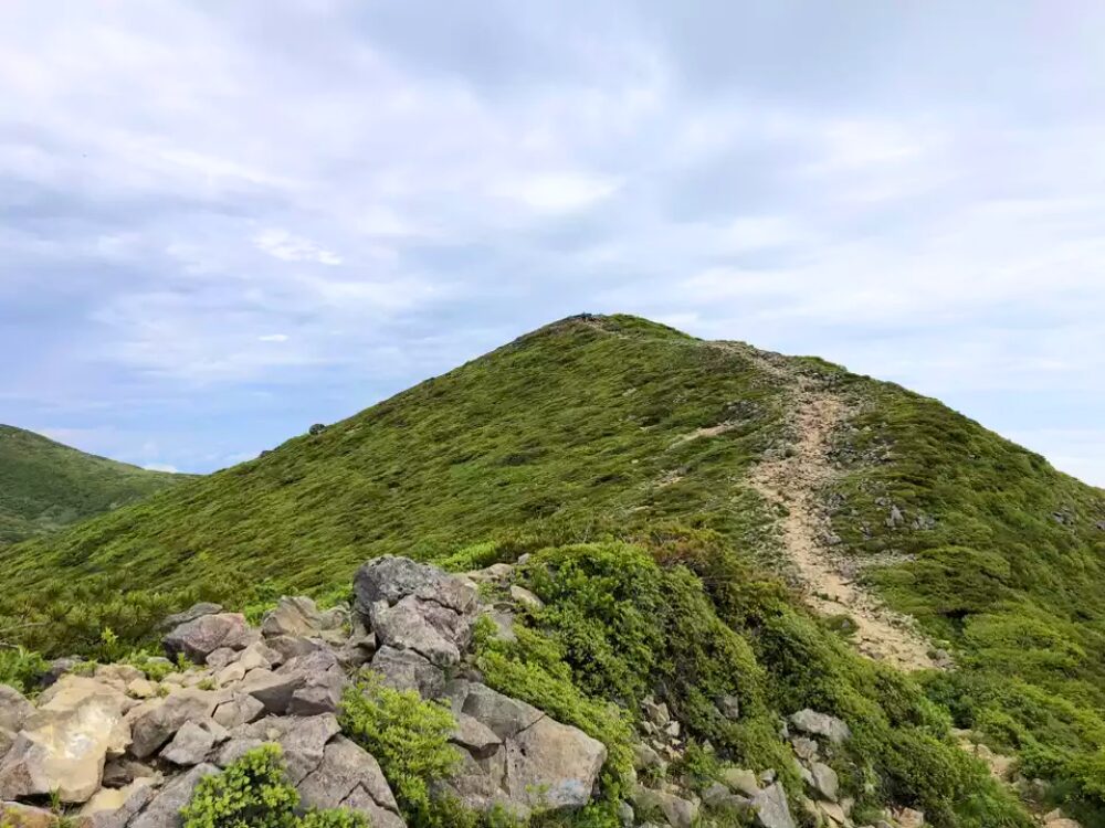 登山道