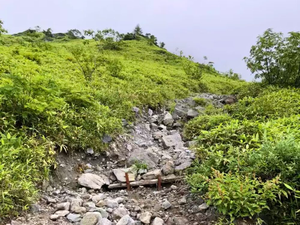 登山道