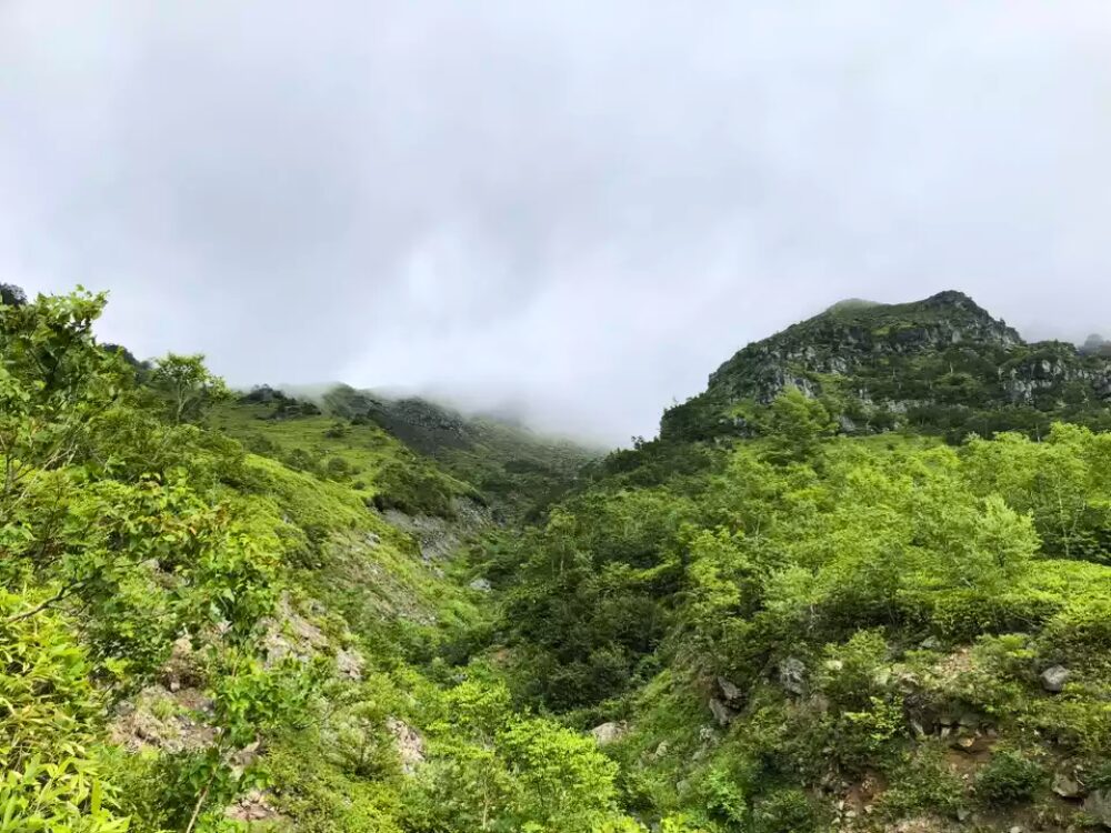 雲に隠れた焼岳