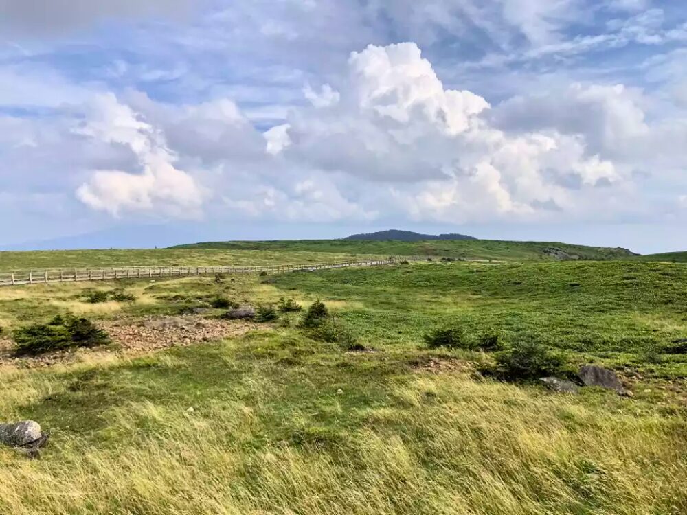 美ヶ原牧場