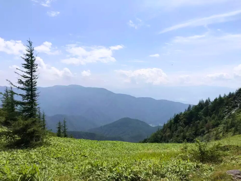景色