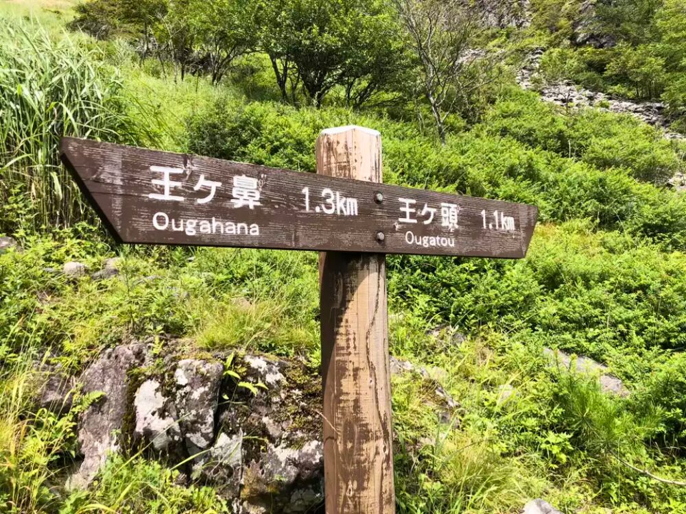 案内板