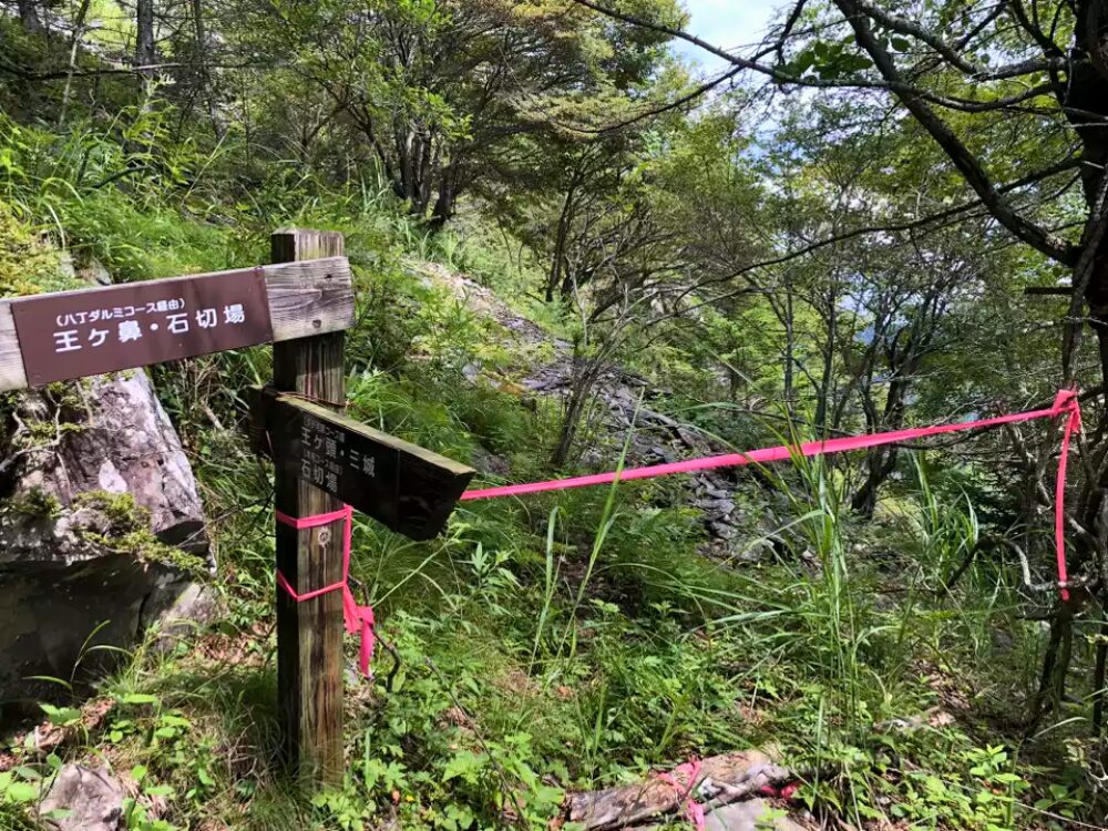 道間違え防止のロープ
