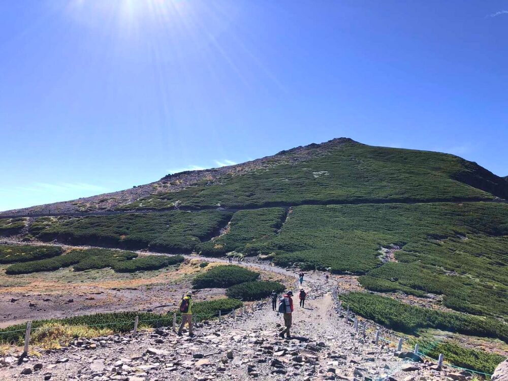 登山道と富士見岳