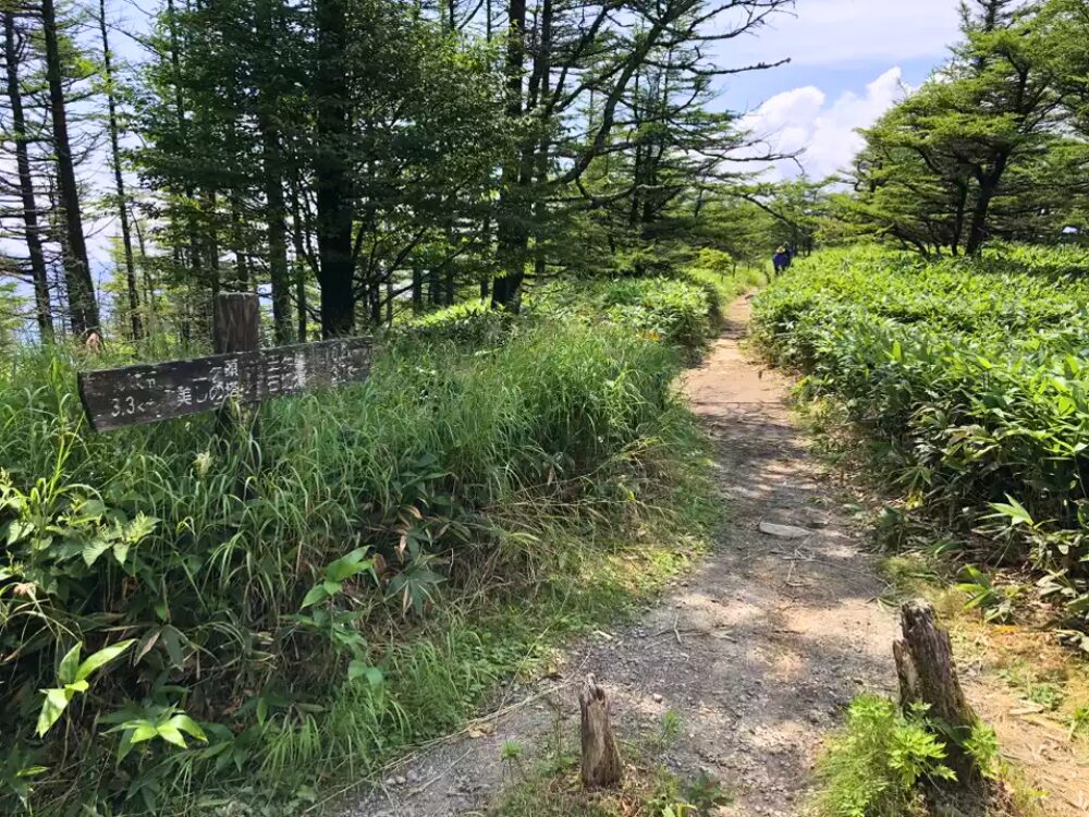 登山道