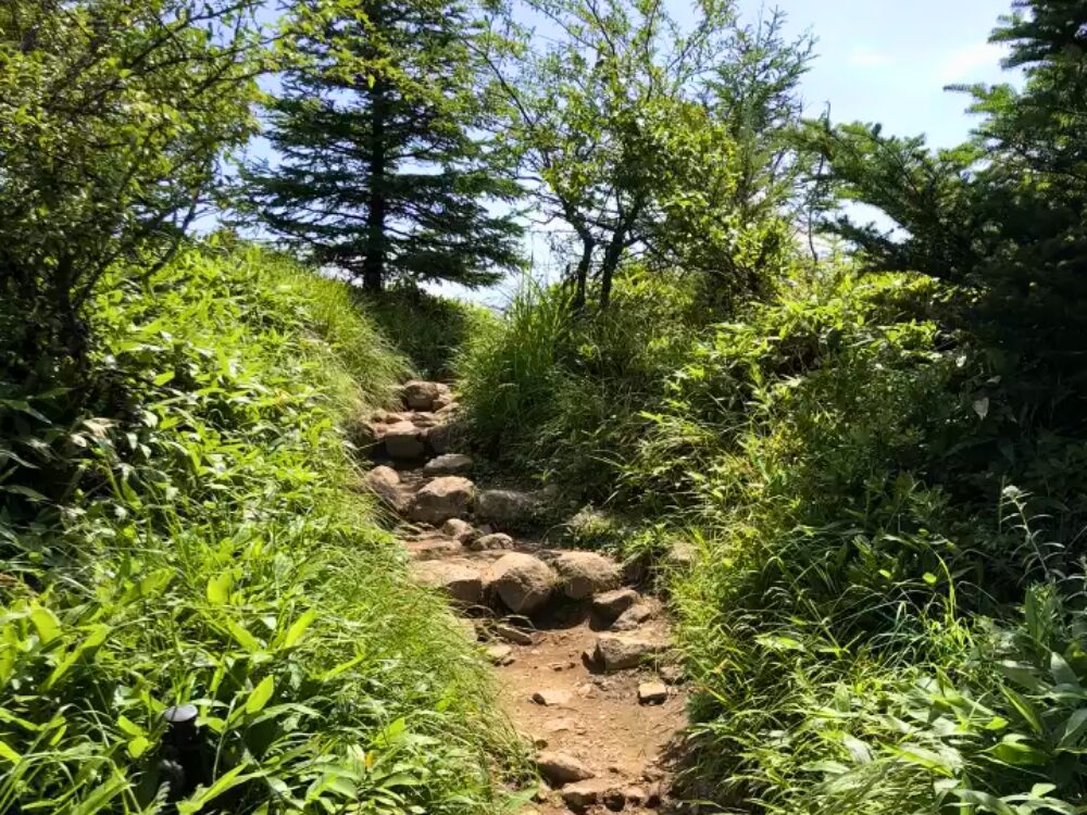 石段