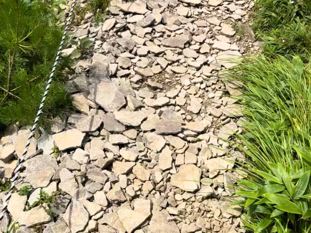 登山道のアップ
