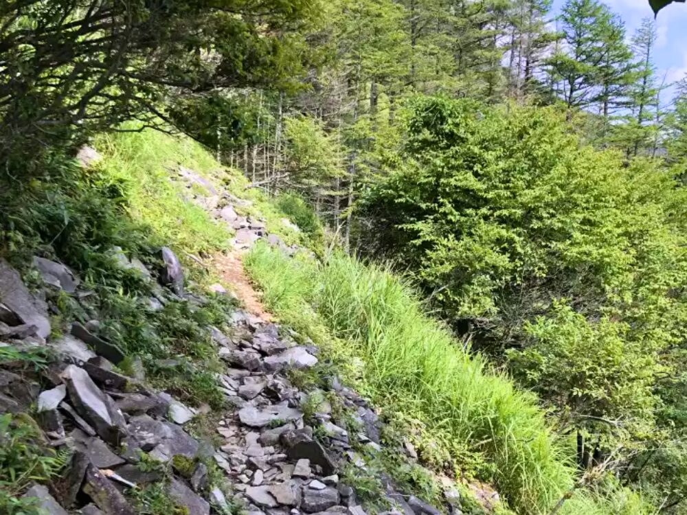 崩れかけの登山道