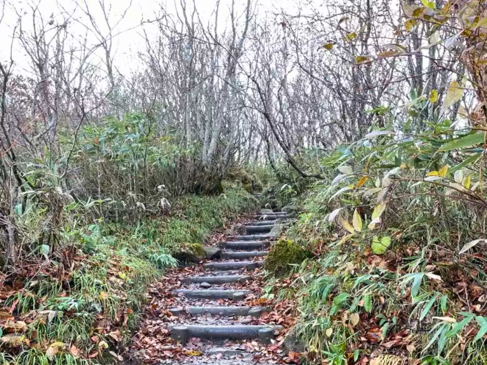 階段の登山道