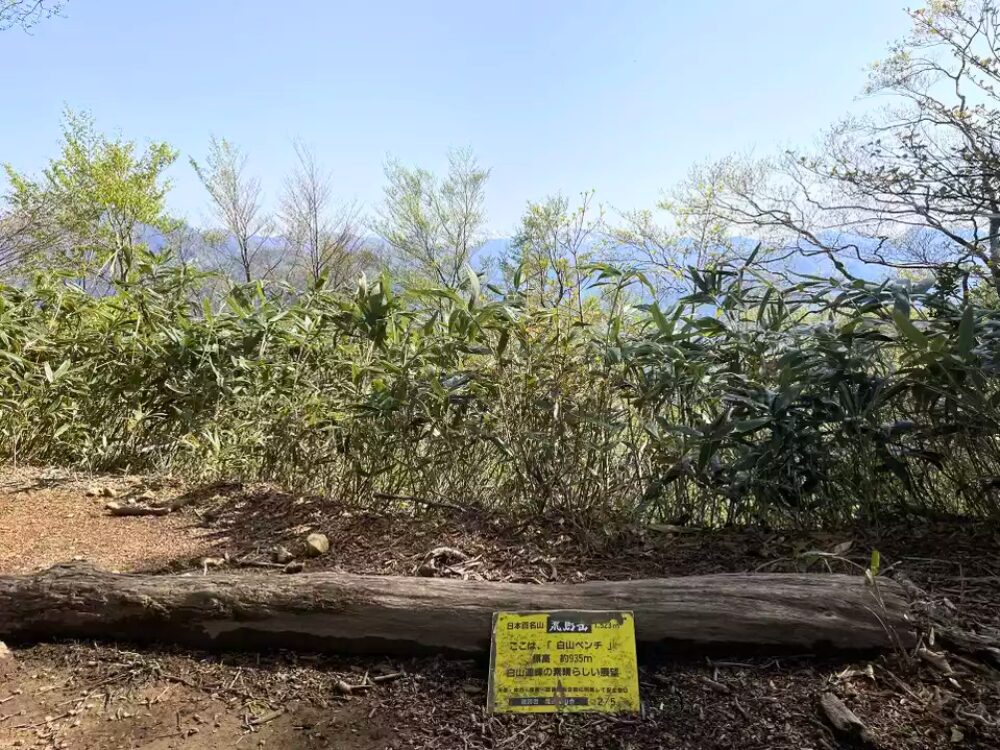 白山ベンチ