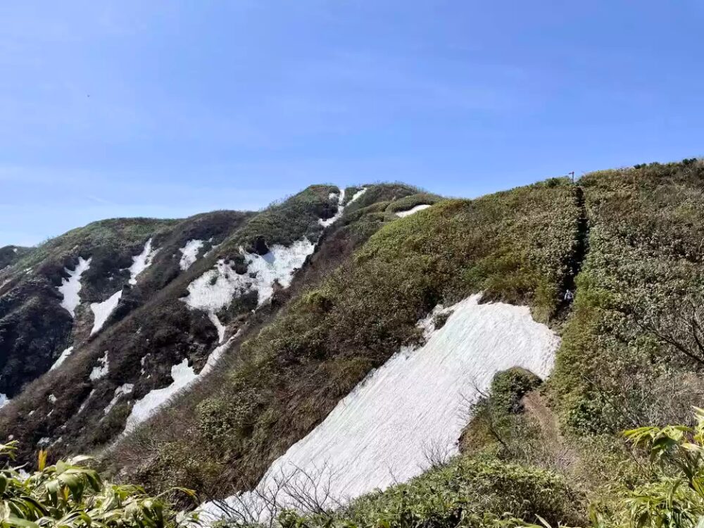 荒島岳 稜線