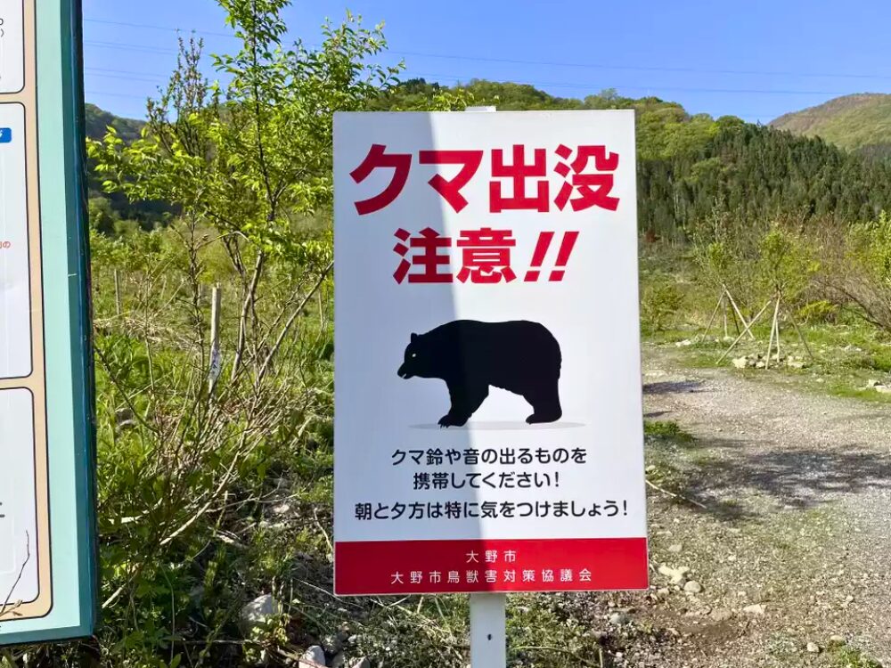 熊出没注意 看板