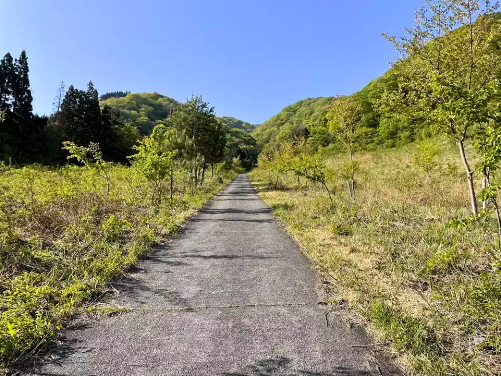 カドハラ桜坂