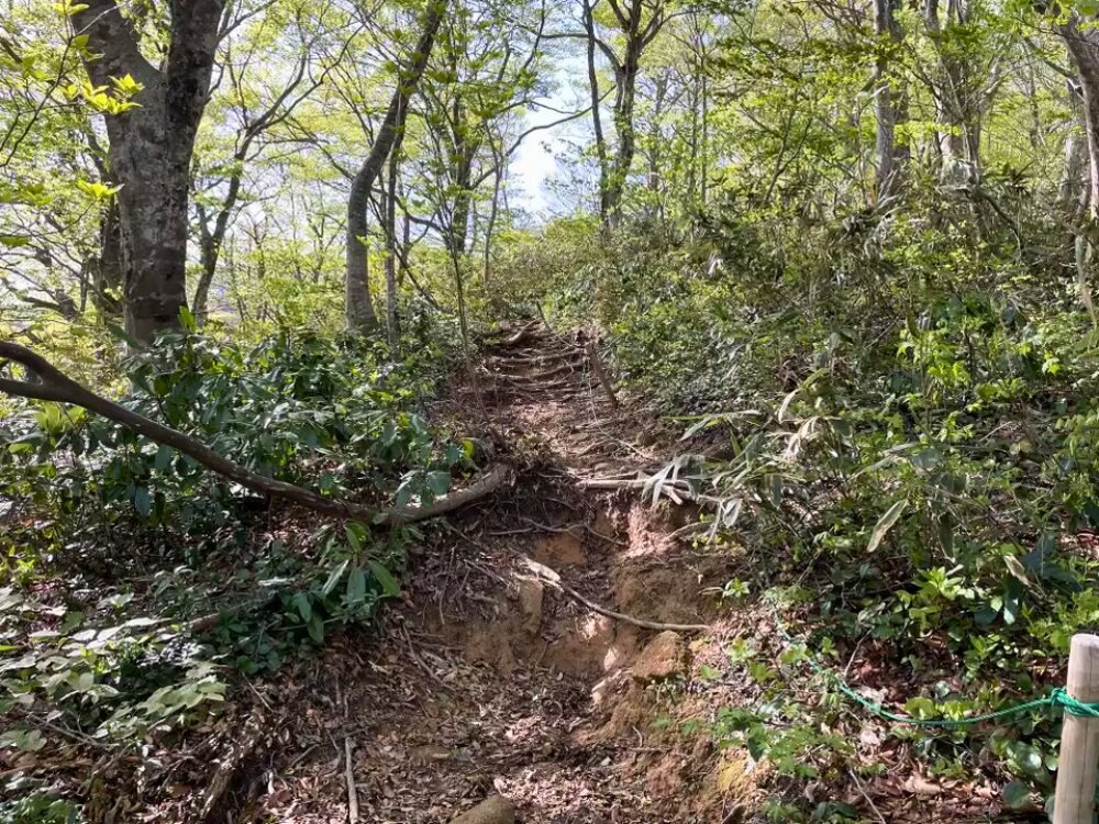 登山道