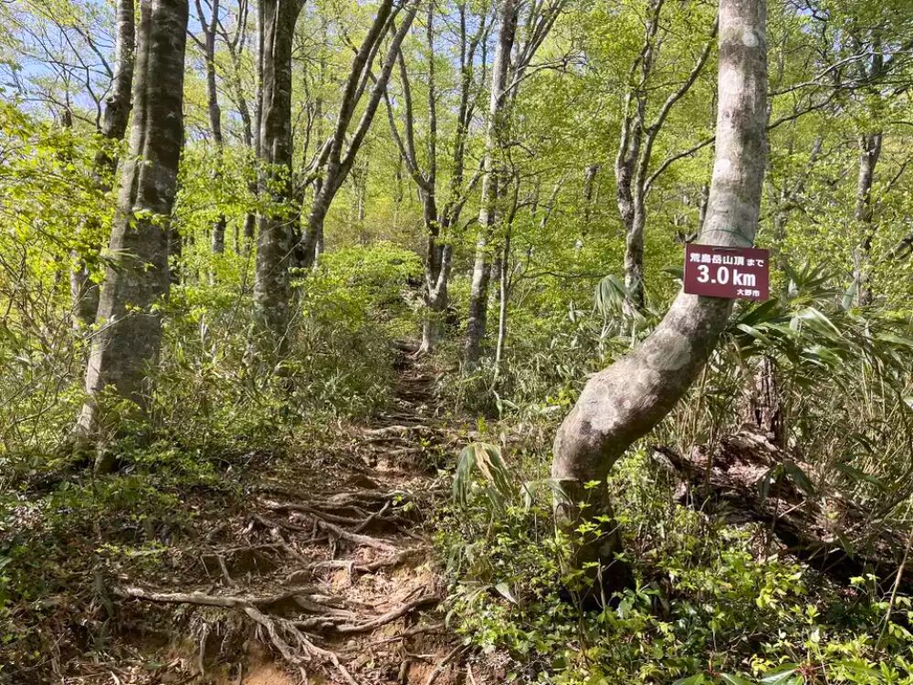 登山道 荒島岳まで3.0Km